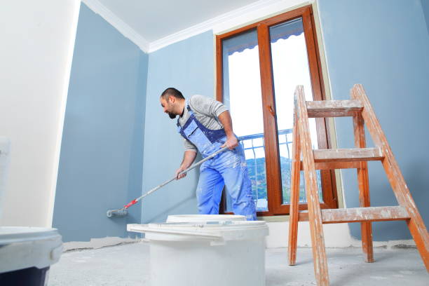 Best Mold Odor Removal Services  in Irmo, SC