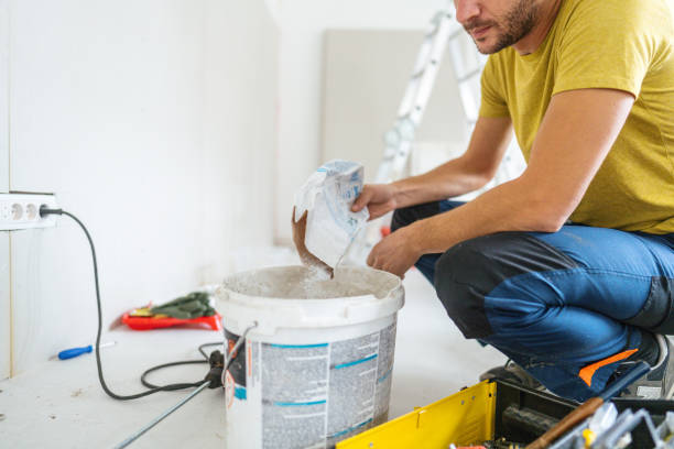 Best Black Mold Removal  in Irmo, SC