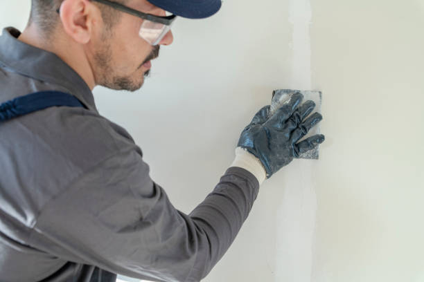 Best Dehumidification Services  in Irmo, SC