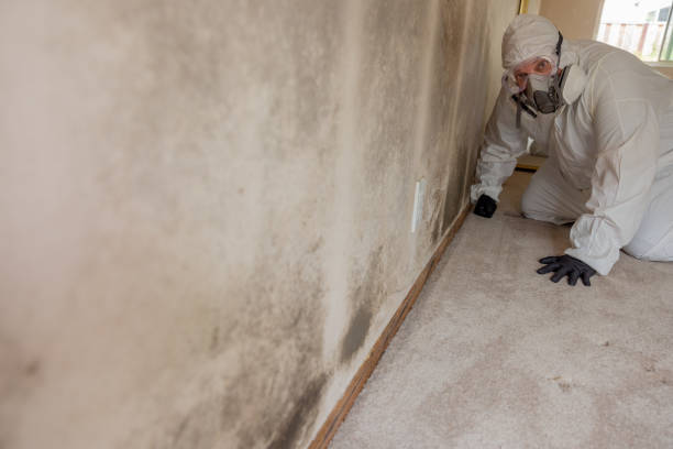 Best Mold-Related Health Consultation  in Irmo, SC
