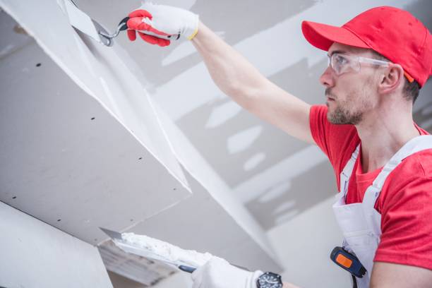 Best HVAC Mold Inspection and Cleaning  in Irmo, SC