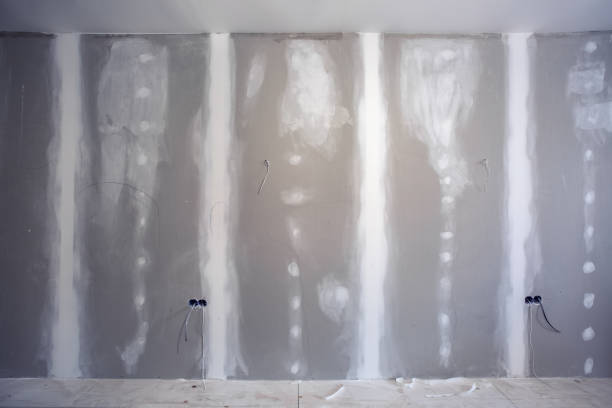 Best Commercial Mold Inspection  in Irmo, SC